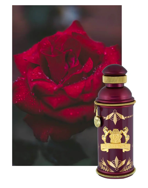 Rose Alba