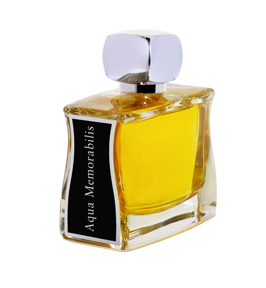 Memorabilis dell'acqua