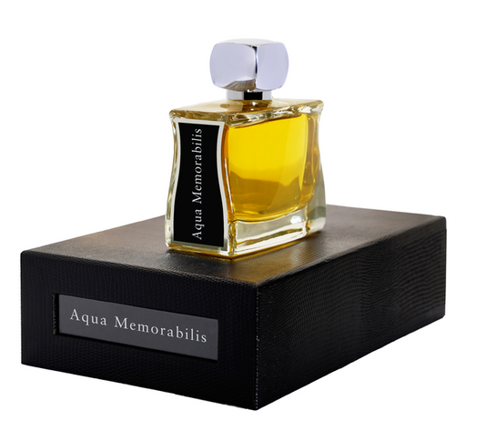 Memorabilis dell'acqua