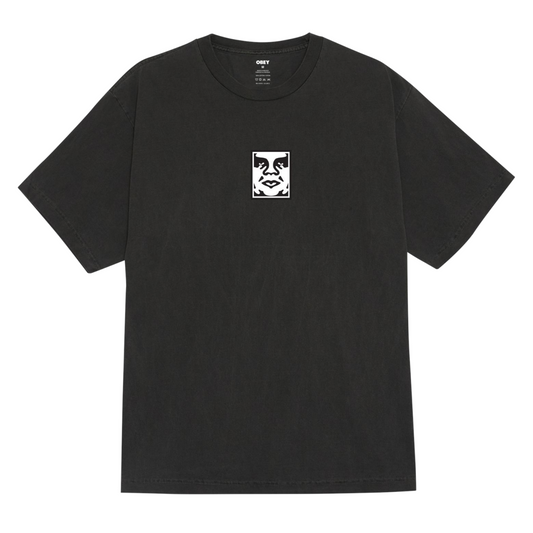 T-shirt Icon Face Uomo Pigment Dusty Black