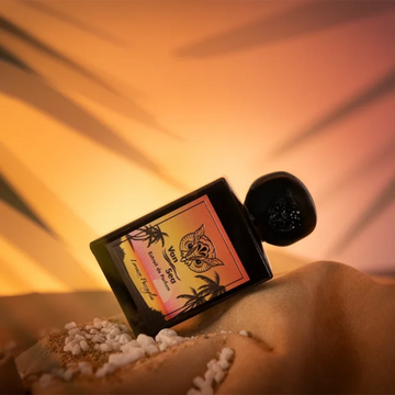 Lorenzo Pazzaglia - Van Sea