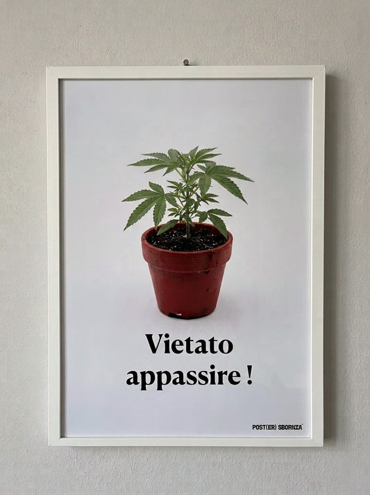 Poster "Vietato Appassire"