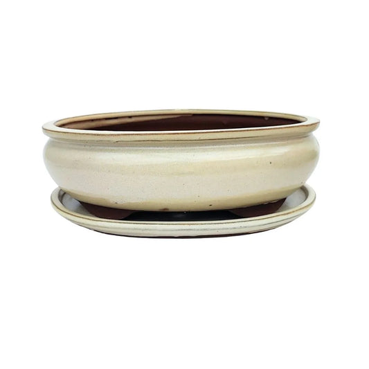 BASIC CLASS Vaso ovale con sottovaso colori