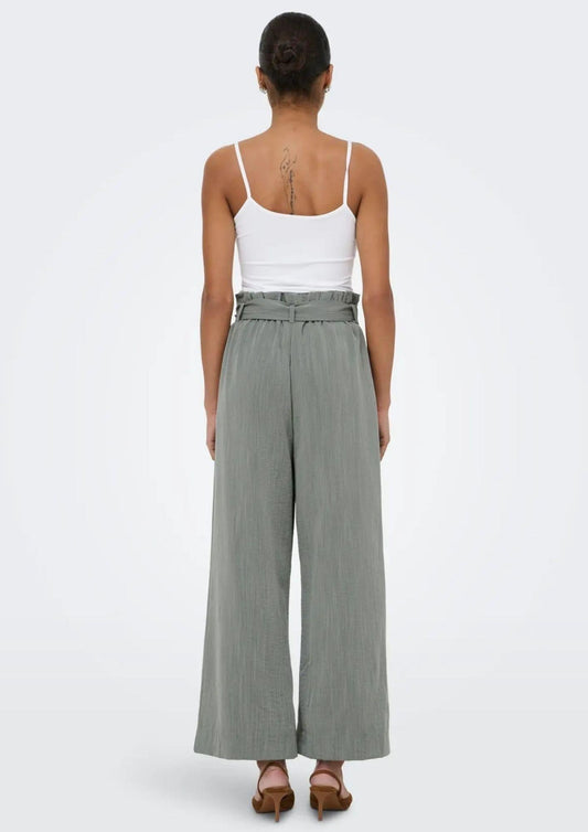 15269628Agave Green