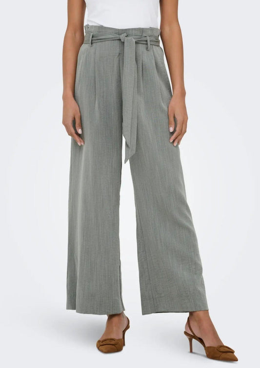 15269628Agave Green