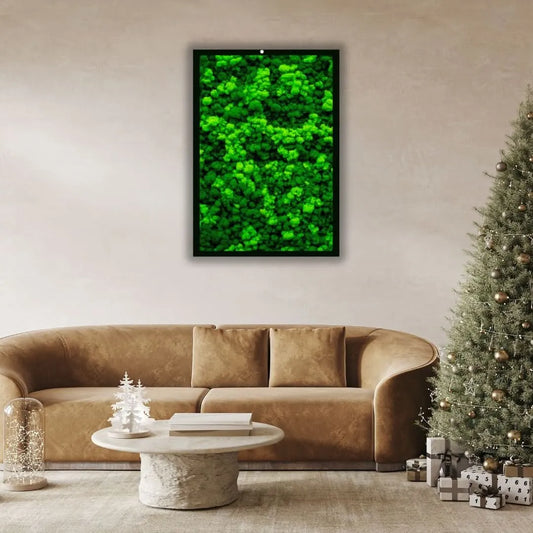 Quadri Rettangolari di Muschio e Lichene