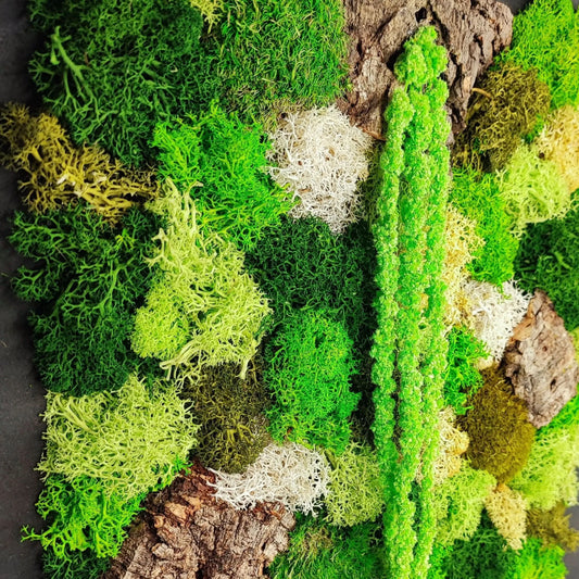 Quadro in Muschio e Licheni Stabilizzati 35x50 cm – EcoMosaico | Made in Italy