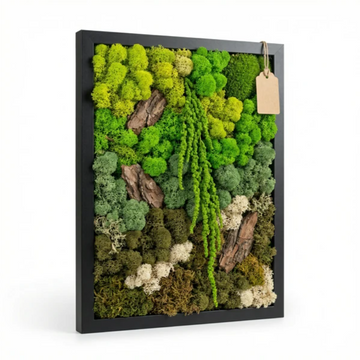 Quadro in Muschio e Licheni Stabilizzati 35x50 cm – EcoMosaico | Made in Italy